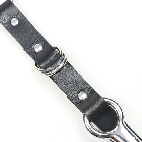 EverydayUse Hook Kinky Leash with Anal 5853 and Collar 1008